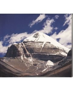 Throbbing Gristle - Part Two: The Endless Not / TG Now CD