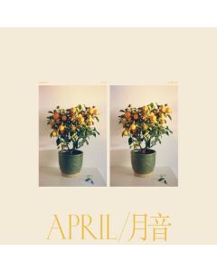 Emmy The Great - April CD