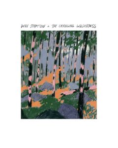 Will Stratton - The Changing Wilderness CD
