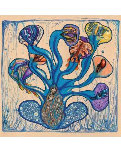 Houeida Hedfi - Fleuves De L'Ame CD