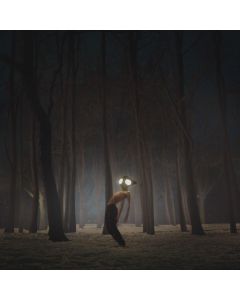 Geese - Projector CD