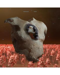 Soap & Skin - Torso CD