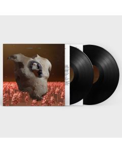 Soap & Skin - Torso LP