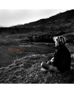 David Sylvian - Alchemy: An Index Of Possibilities (Gold Vinyl) LP