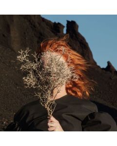 Goldfrapp - Silver Eye CD