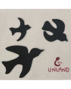 3'Ain - Unland CD