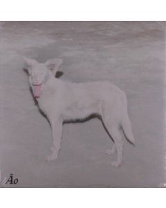Ao - Malandra LP
