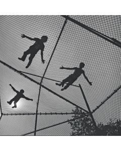 Tahiti Boy and the Palmtree Family • Songs of Vertigo CD