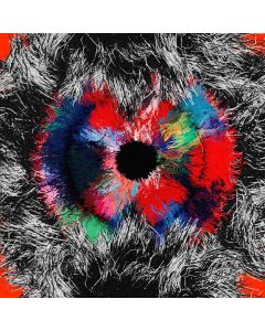 Oy • Kokokyinaka CD