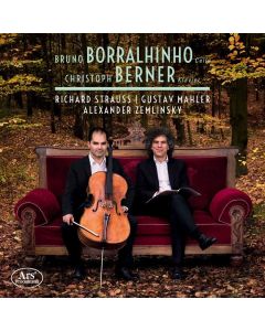 Bruno Borralhinho, Christoph Berner • R. Strauss, Mahler, Zemlinsky CD