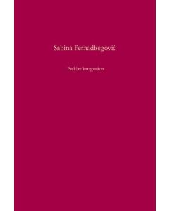Sabina Ferhadbegovic • Prekäre Integration