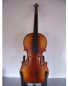 Beautiful violin