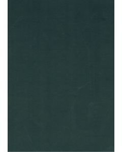 Hölderlin der Wanderer