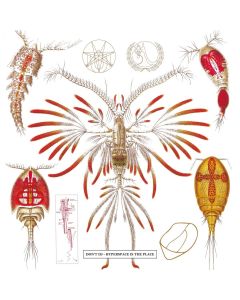 Don't DJ • Hyperspace is the Place / Hyperspace is no Place CD