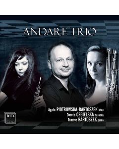 Andare Trio CD
