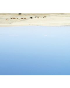 Rae Spoon • My Prairie Home CD