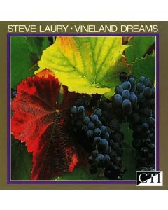Steve Laury • Vineland Dreams CD