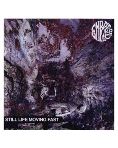 Empress AD • Still Life Moving Fast CD