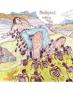 Needlepoint - Walking Up That Valley CD