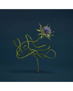 Julien Belliard • Le Mirage de Zo CD