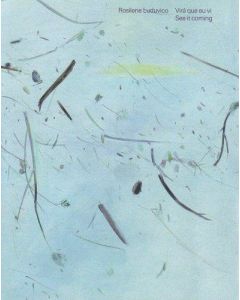 Rosilene Luduvico • Virá que eu vi | See it coming