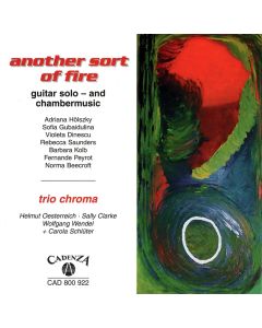 Another Sort of Fire CD