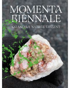 MOMENTA Biennale • Quand la nature ressent