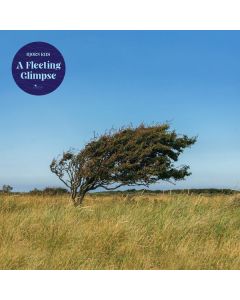 Bjørn Riis - A Fleeting Glimpse CD