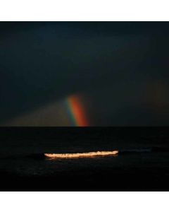 Electric Litany - Under A Common Sky (Limited Edition) (White Vinyl) LP