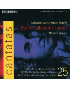 Johann Sebastian Bach (1685-1750) - Kantaten Vol.25 (BIS-Edition) CD