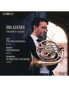 Johannes Brahms (1833-1897) - Kammermusik SACD
