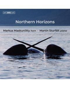 Markus Maskuniitty - Northern Horizons SACD