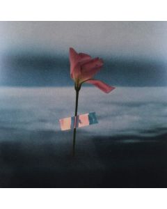 Will Samson • Paralanguage LP