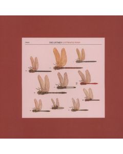 The Liftmen • Luftwaffe Pond LP