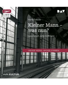 Hans Fallada • Kleiner Mann - was nun? MP3-CD
