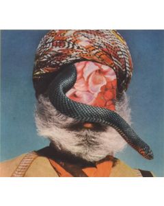 River Into Lake • Let the Beast out CD