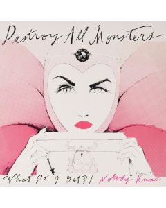 Destroy All Monsters • What do I get? / Nobody knows 7"