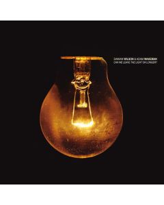 Damian Wilson - Can We Leave The Light On Longer? CD