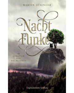 Marion Hübinger • Nachtfunke