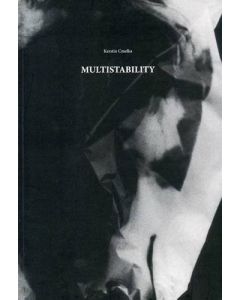 Kerstin Cmelka • Multistability