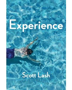 Scott Lash • Experience