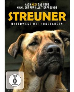 Streuner - Unterwegs mit Hundeaugen DVD