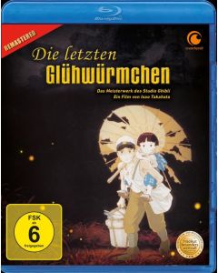 Die letzten Glühwürmchen (Blu-ray) BR