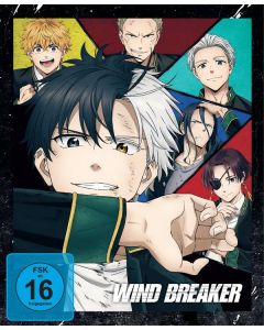 Wind Breaker Staffel 1 Vol. 1 (mit Sammelschuber) DVD