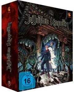 Jujutsu Kaisen Staffel 1 (Gesamtausgabe) DVD