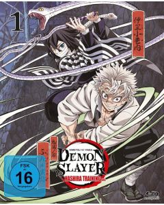 Demon Slayer: Kimetsu no Yaiba - Hashira Training Arc Vol. 1 (Blu-ray) BR