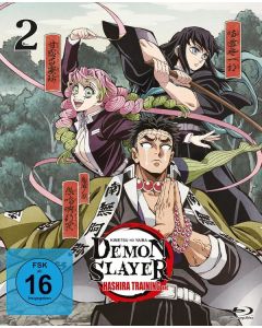 Demon Slayer: Kimetsu no Yaiba - Hashira Training Arc Vol. 2 (Blu-ray) BR