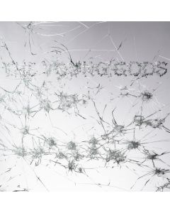 The Young Gods - Appear Disappear CD