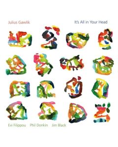Julius Gawlik - It's All in Your Head LP