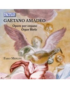 Gaetano Amadeo (1824-1893) - Orgelwerke CD